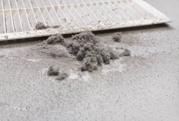 Best HVAC Maintenance and Cleaning  in Belleville, KS